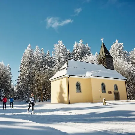 Panorama Bayerwald *