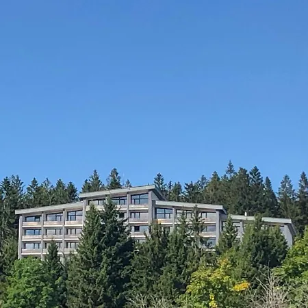 Panorama Bayerwald *