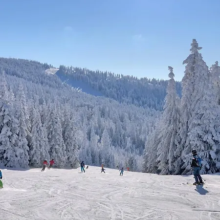 Lägenhet Panorama Bayerwald *