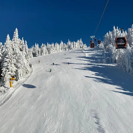Διαμέρισμα Panorama Bayerwald