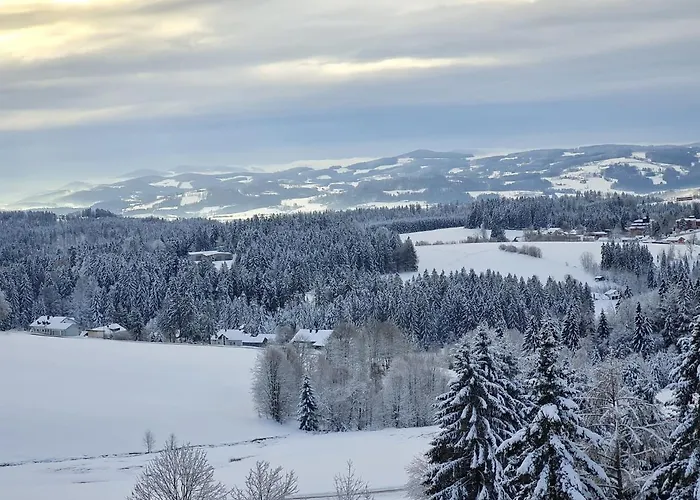 Panorama Bayerwald Apartmán *