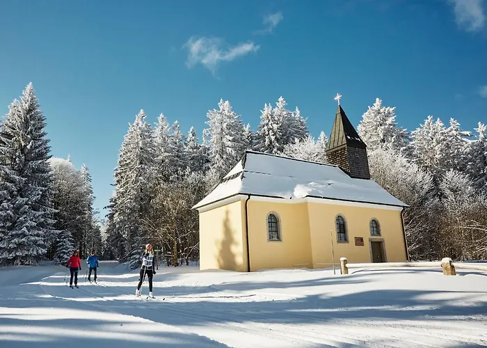 Panorama Bayerwald *